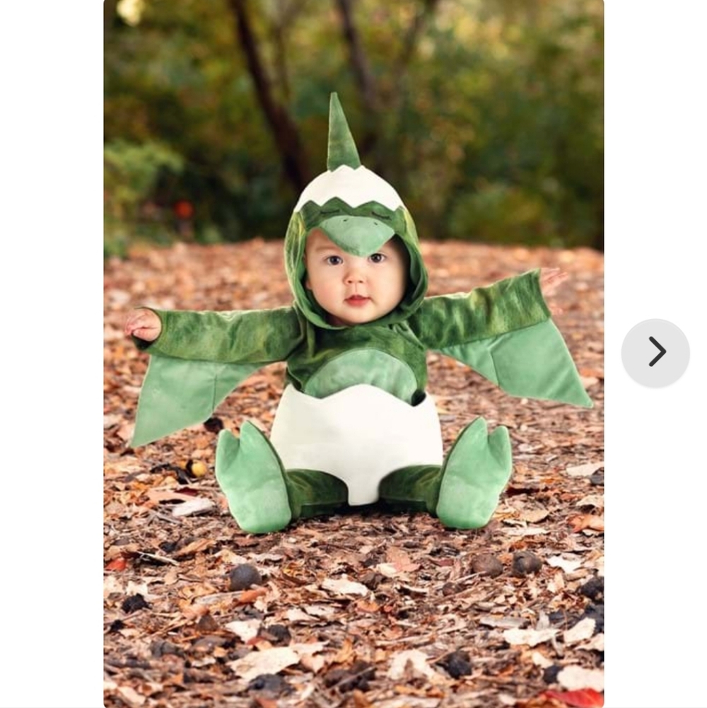 Hatching Pterodactyl Infant Costume